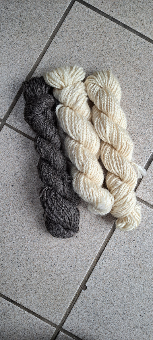 Our Wool is Spinning | Beatrice Bayliss