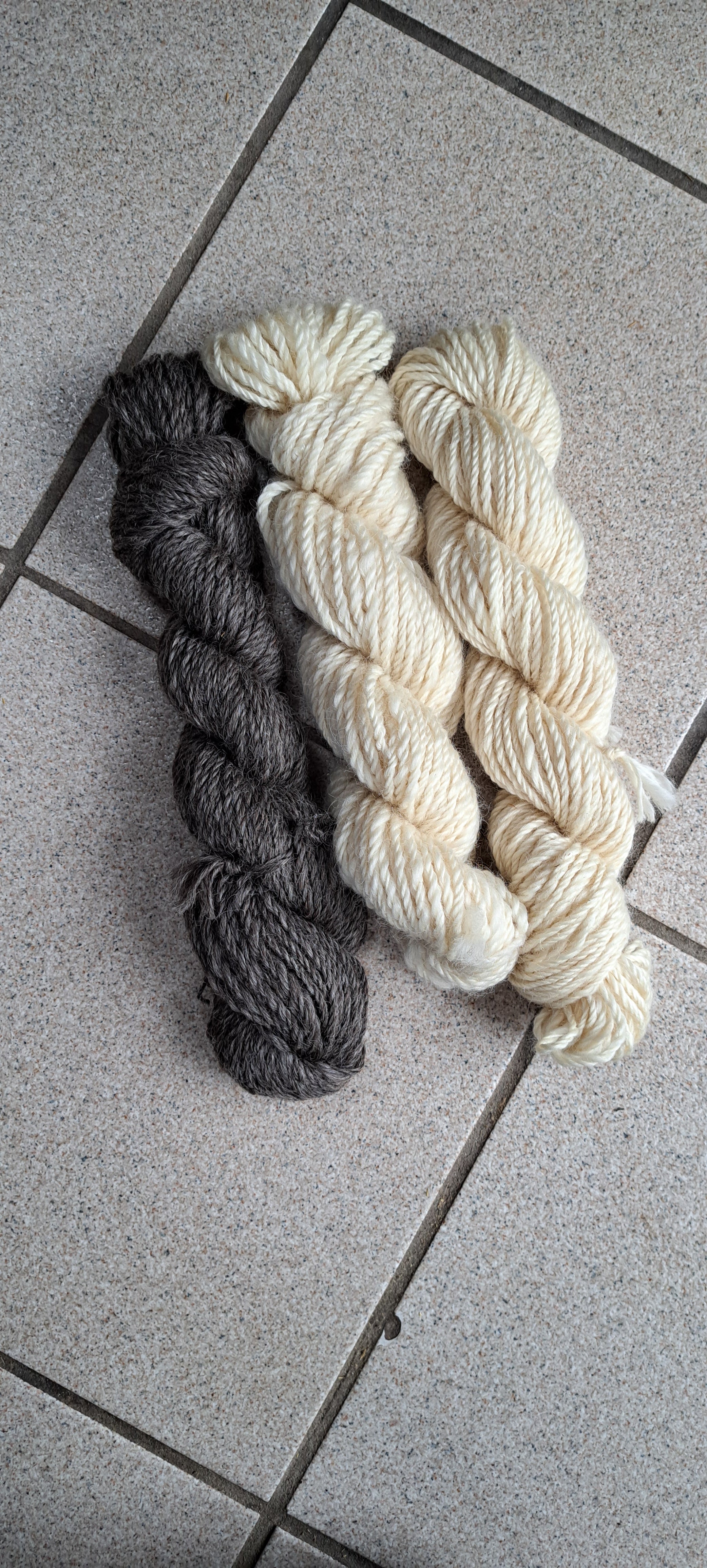 Our Wool is Spinning | Beatrice Bayliss