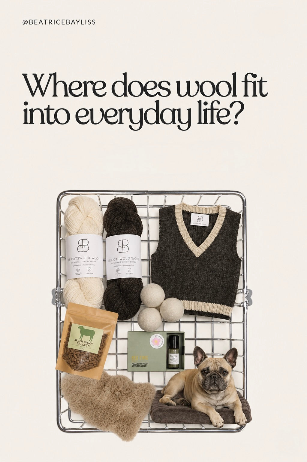 Where Does Wool Fit Into Everyday Life? | Beatrice Bayliss