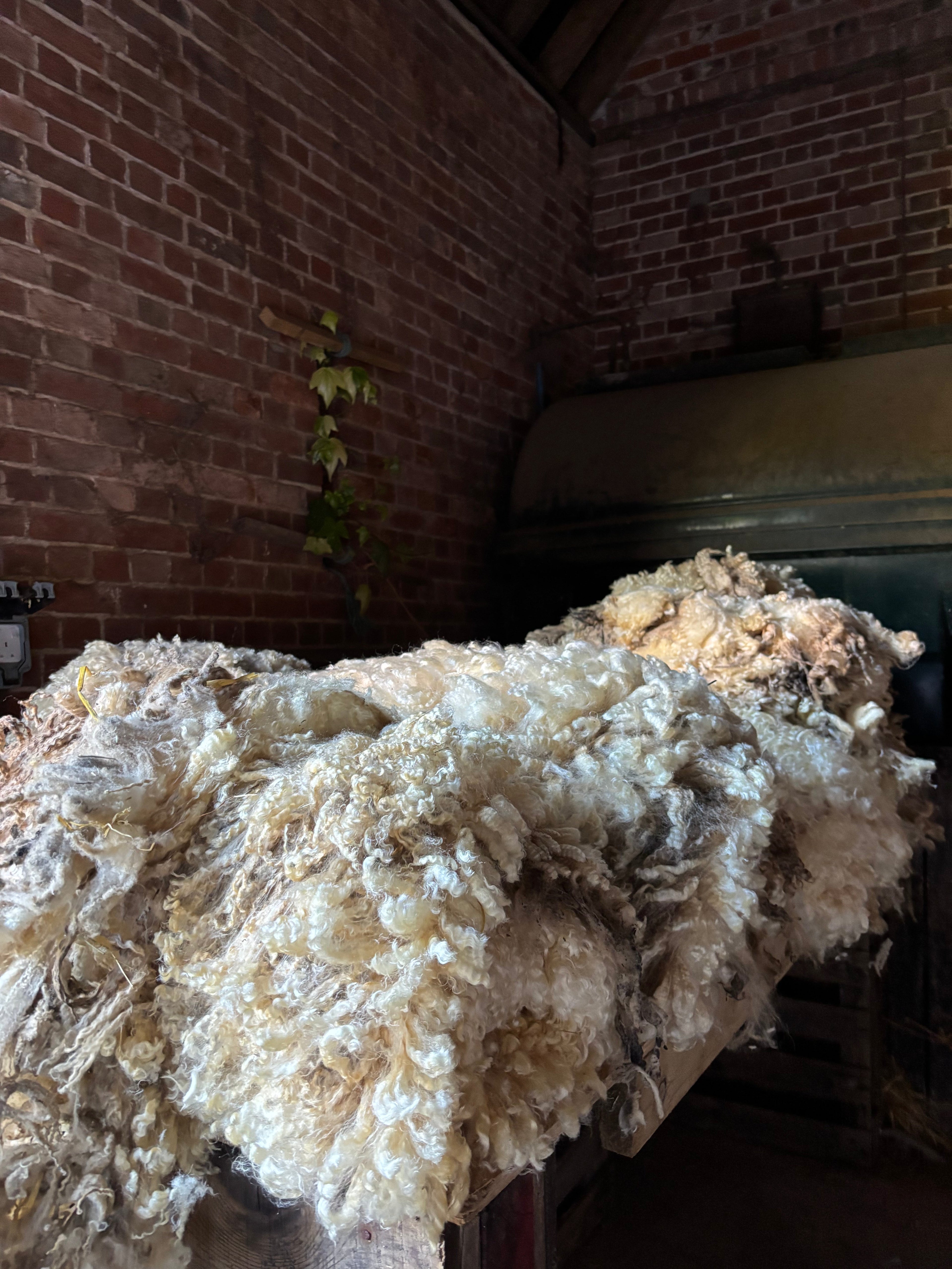 A New Chapter at the Mill | Beatrice Bayliss