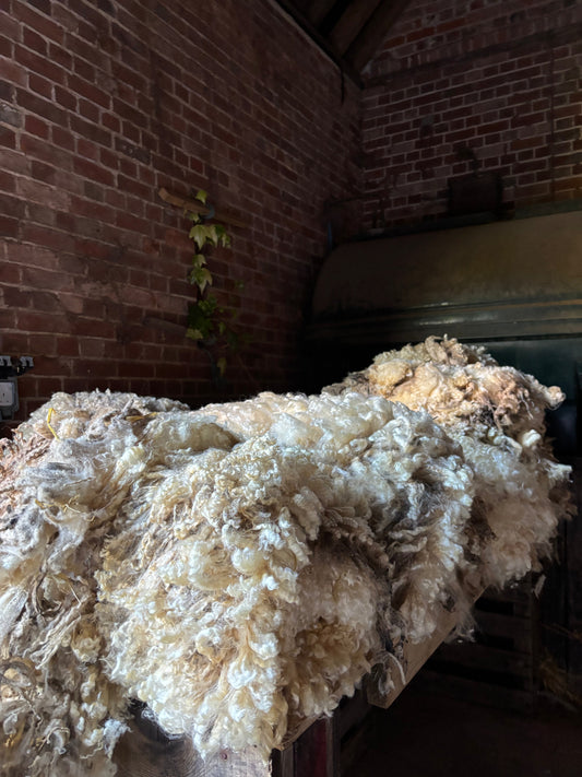 A New Chapter at the Mill | Beatrice Bayliss