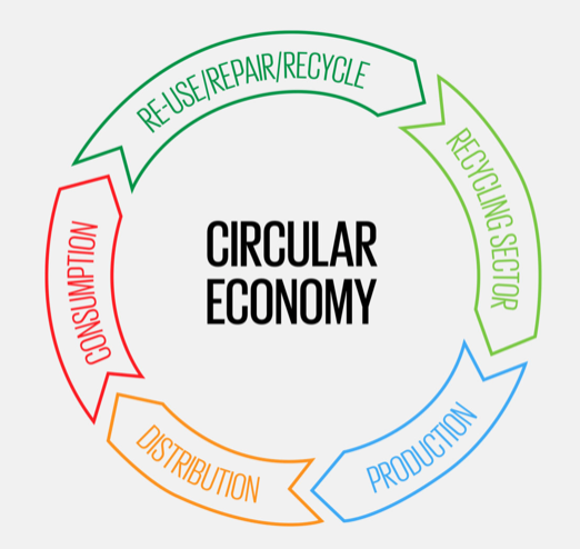 Circular Economy Blog | Beatrice Bayliss