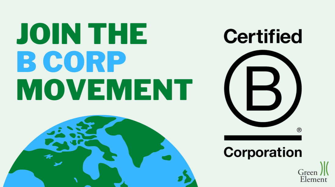 What is a B Corp Certification and Why You Should Know About It | Beatrice Bayliss